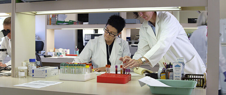 Scone Equine Hospital Laboratory