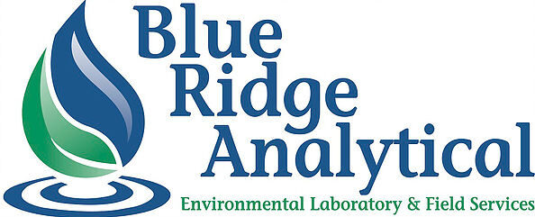 Blue Ridge Analytics Logo Small