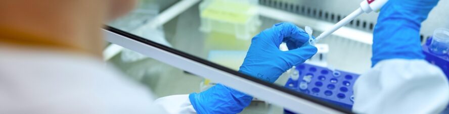Lab technician pipetting with hands under an isolation hood in a laboratory.